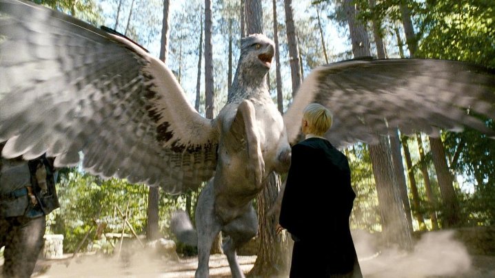 bicuco_'s tweet photo. Booaaa noite potterheadsss https://t.co/QiwhatTDJV