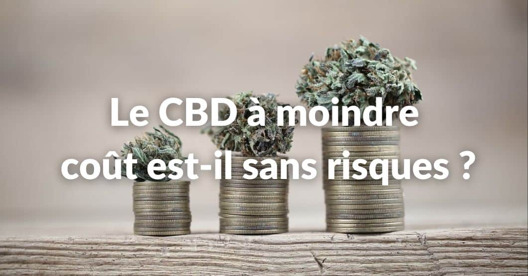 CbDissimo's tweet image. Le CBD pas cher, mais à quel prix ? 
Les produits au CBD "pas chers" existent, certes, mais les questions sous-jacentes relatives à la qualité et la sécurité demeurent...

👉cbdissimo.com/cbd-pas-cher