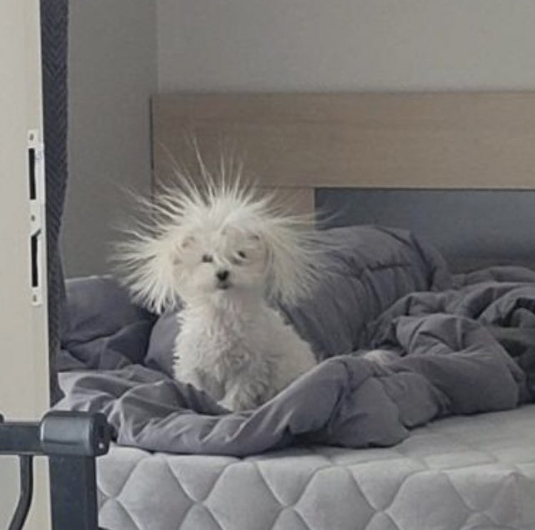 yo cuando me duermo con el pelo mojado