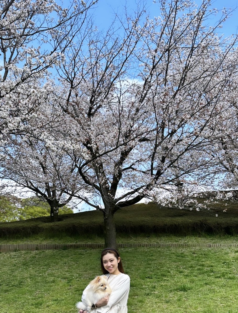 出会いと別れの季節🌸
今週で私が担当する校は年度最後のレッスンでした👏🏻
一年前と比べてとっても成長した子供達。
スクールを卒業する子、クラスアップする子、またそれぞれ環境が変わりますが何処でも輝けるよう応援しています💕
