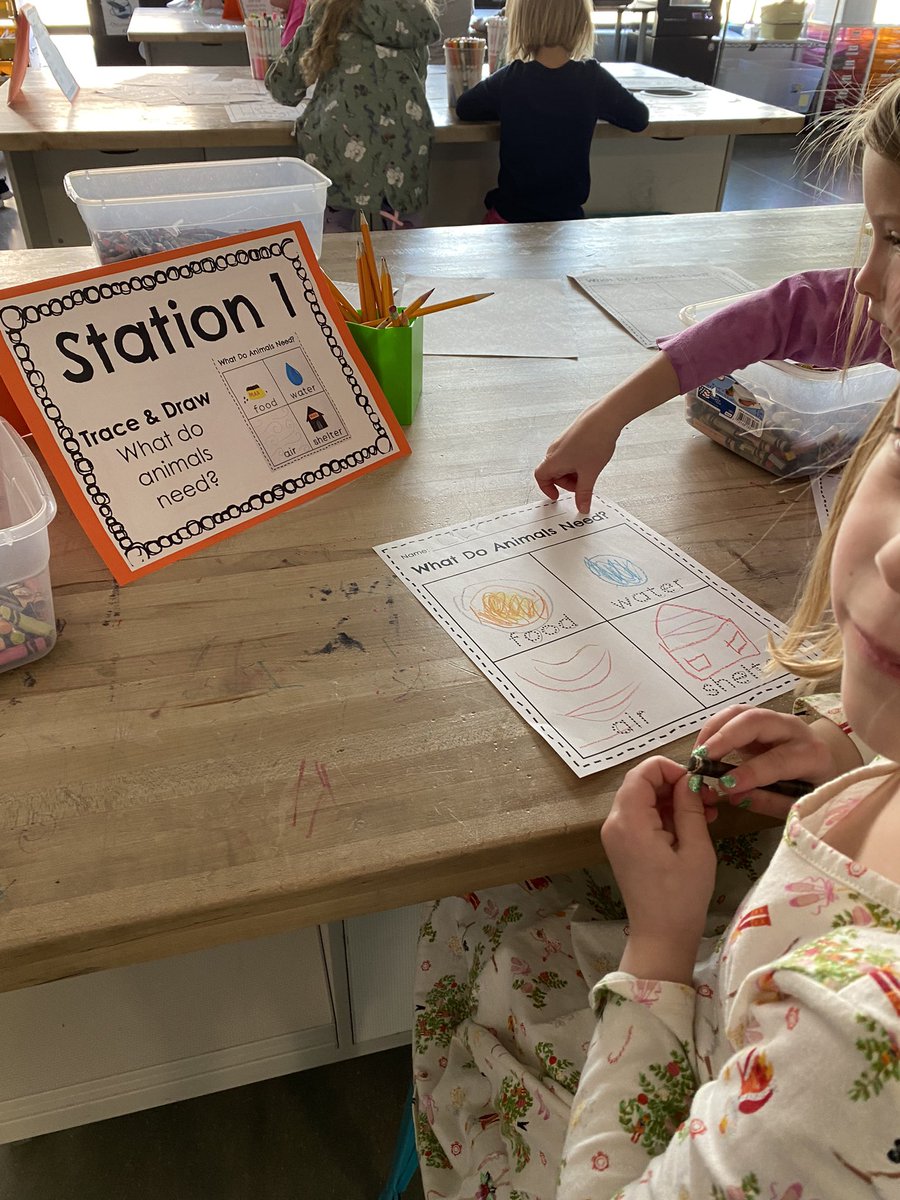 Anna Mills (@millsanna1) on Twitter photo Kindergarten Ss learning about animals during our Land Unit! They loved going through various stations from hands on creations to practicing their writing. <a href="/SHPK8/">Cyrus Weinberger</a> Kindergarten Ss learning about animals during our Land Unit! They loved going through various stations from hands on creations to practicing their writing. <a href="/SHPK8/">Cyrus Weinberger</a>