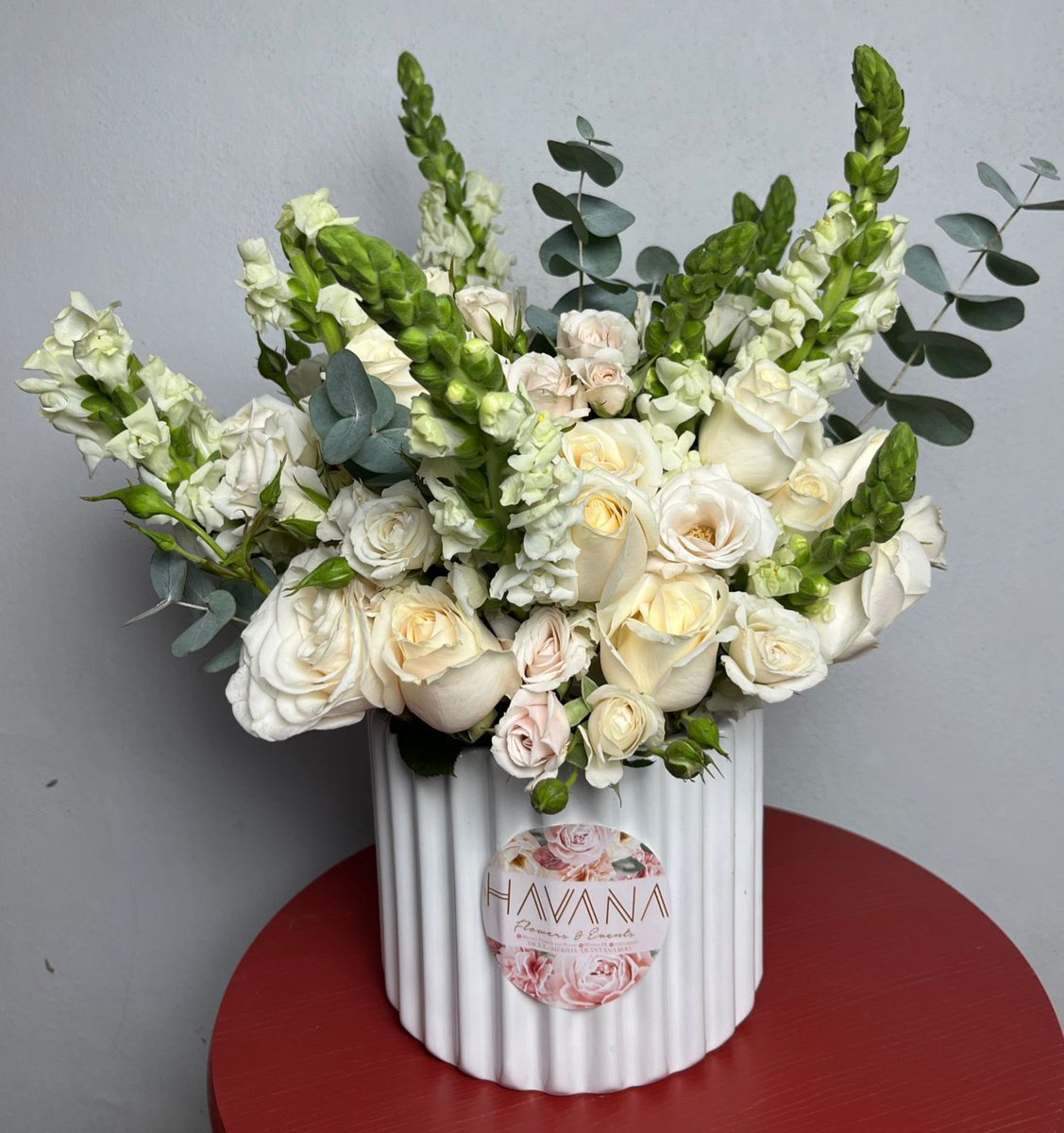Paulinaalza's tweet photo. siempre te mereciste y siempre merecerás las flores más bonitas.👼🏼🤍 https://t.co/sMz4KMEXJc