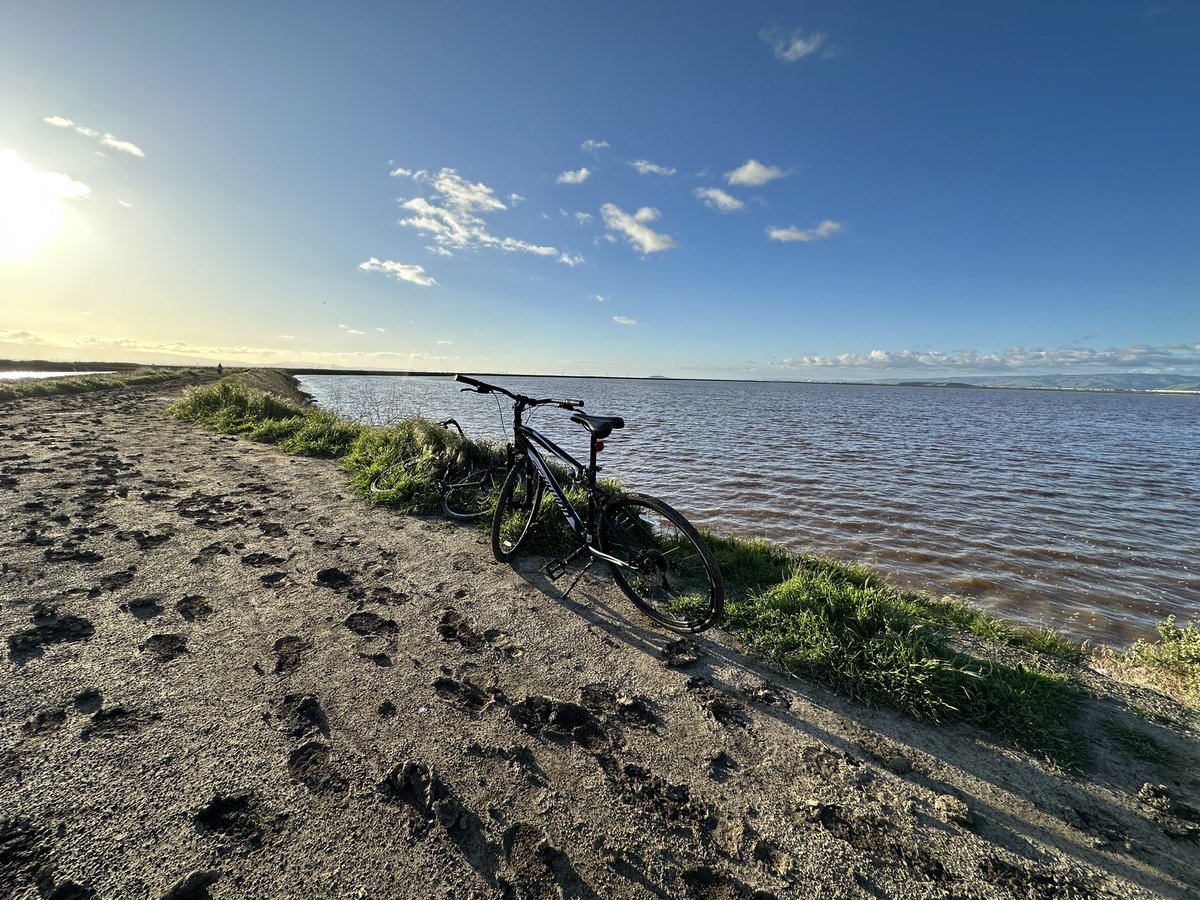 Coming from another country, I used to curse the daylight. It’s possible that it ain’t too bad after all.

🚲📍#alviso 

#bike #trail #beach #california #BayArea #SantaClara #daylightsaving #evening