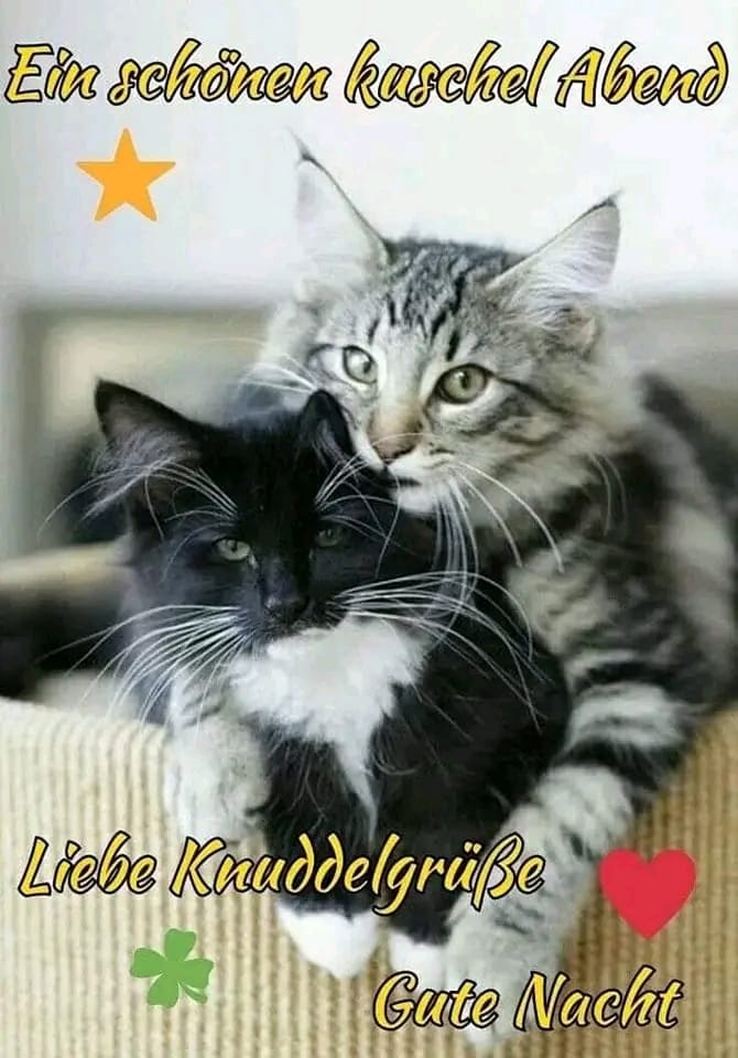 Michael H. (@michael90510478) on Twitter photo 