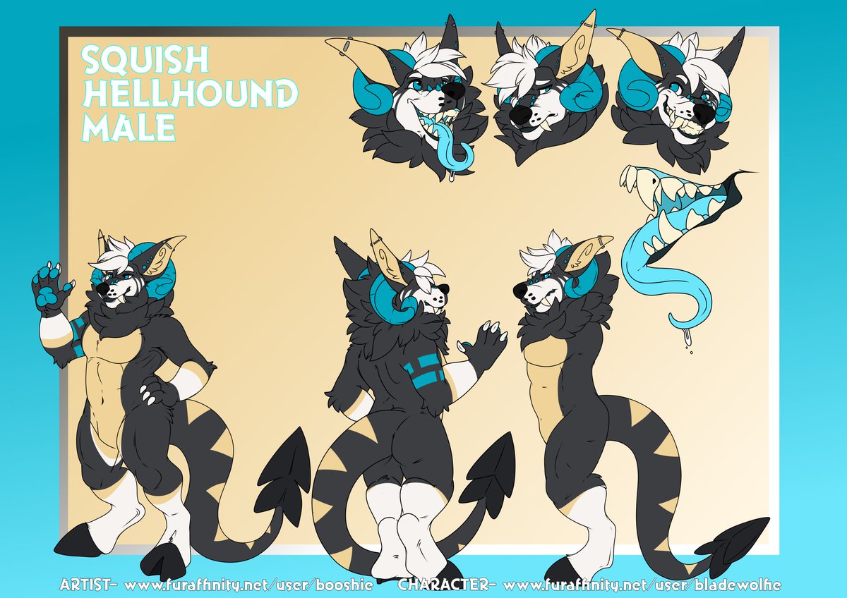 📀ＳＱＵＩＳＨ　ＨＯＵＮＤ📀 tweet media