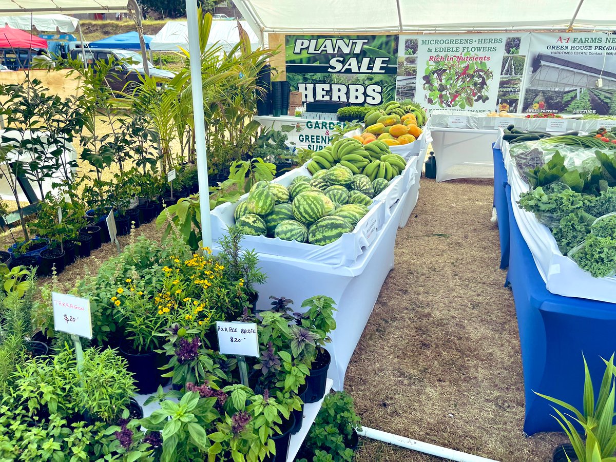 AgriExpo today in #Nevis showcasing our continuing journey in achieving food sovereignty. We are growing what we eat and eating what we grow.