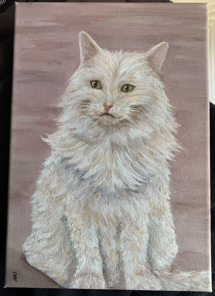 RaikesTracey's tweet photo. Just a few acrylic paintings done by a young up and coming artist . I love how Bronwen captures the personalities of all her subjects from a photograph. Some of these have passed over so giving back a bit of pleasure to see your beloved pets 😻🐶 #justBRTSY @justBRTSY #BRT https://t.co/6Ix39OhTip