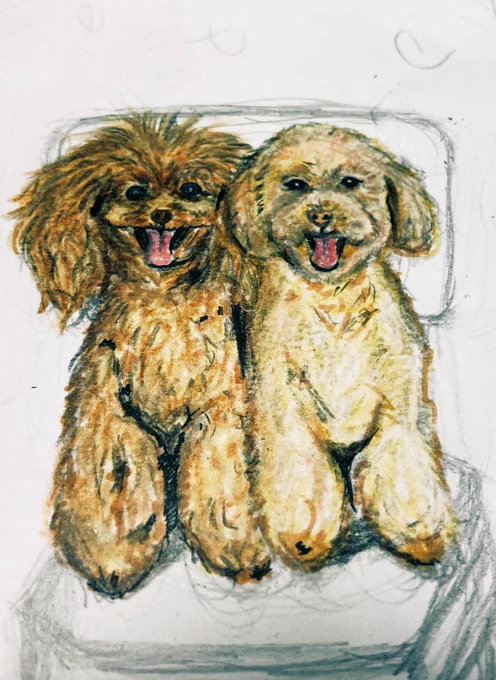 おはようございます! ありがとうございます 色塗りした後に何かはっきりと明暗がほしいと思って白のボールペンで付け足しました! これはハイライト無しのイラストです!