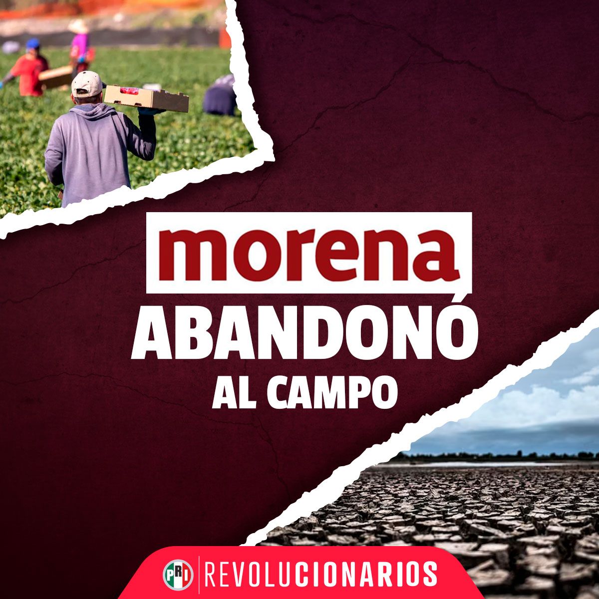 PRI_Nacional's tweet photo. Morena quiere desaparecer la Financiera Nacional de Desarrollo Agropecuario, Rural, Forestal y Pesquero, sin importarle las graves consecuencias para el sector campesino.

¡Morena nuevamente atenta contra las mujeres y hombres del campo!

#MorenaContraElCampo https://t.co/I86HRNd4GB