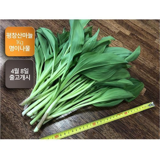 부탁 좀 드리겠습니다. 강원도 평창 임업인들이 직접 채취한 봄철 명이나물 판매하고 있습니다. 채취할 수 있는 기간이 한정되어 예약 주문받는다고 합니다. 많이 사 주시고 널리 알려주시면 고맙겠습니다.

munjadang.net/goods/24617

#봄나물 #평창 #명이나물
