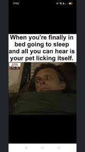 BabyPara2's tweet photo. Is it me or the sound of dogs 'licking themselves ' the worse noise... it goes straight through me. I can hear it over music... arrrrrgh https://t.co/vNQPJFg5mJ