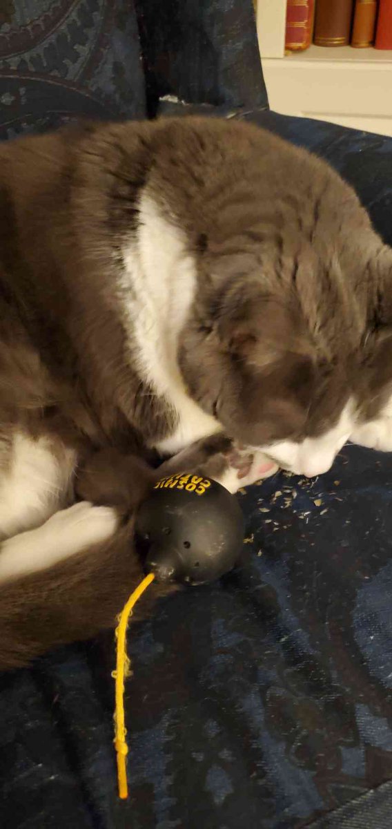 bigboycosmo's tweet photo. No im not addicted lol. I'm just like a social smoker y'know, like I only do it with friends lol. do you wanna do anything this weekend ahaha you should totally try nip dude it makes you so calm its crazy lol no I cant afford my rent but its okay cuz im on the grind https://t.co/oS8Iz4KBHR