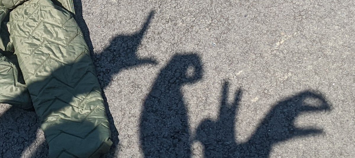 lewickiwolves's tweet image. ❤️ #packpride