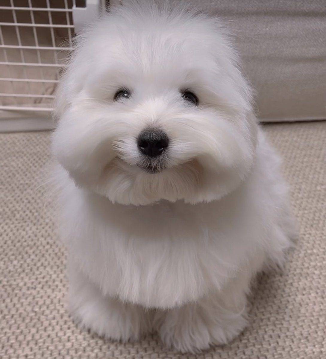 i always forget i have twitter — hello 🙂