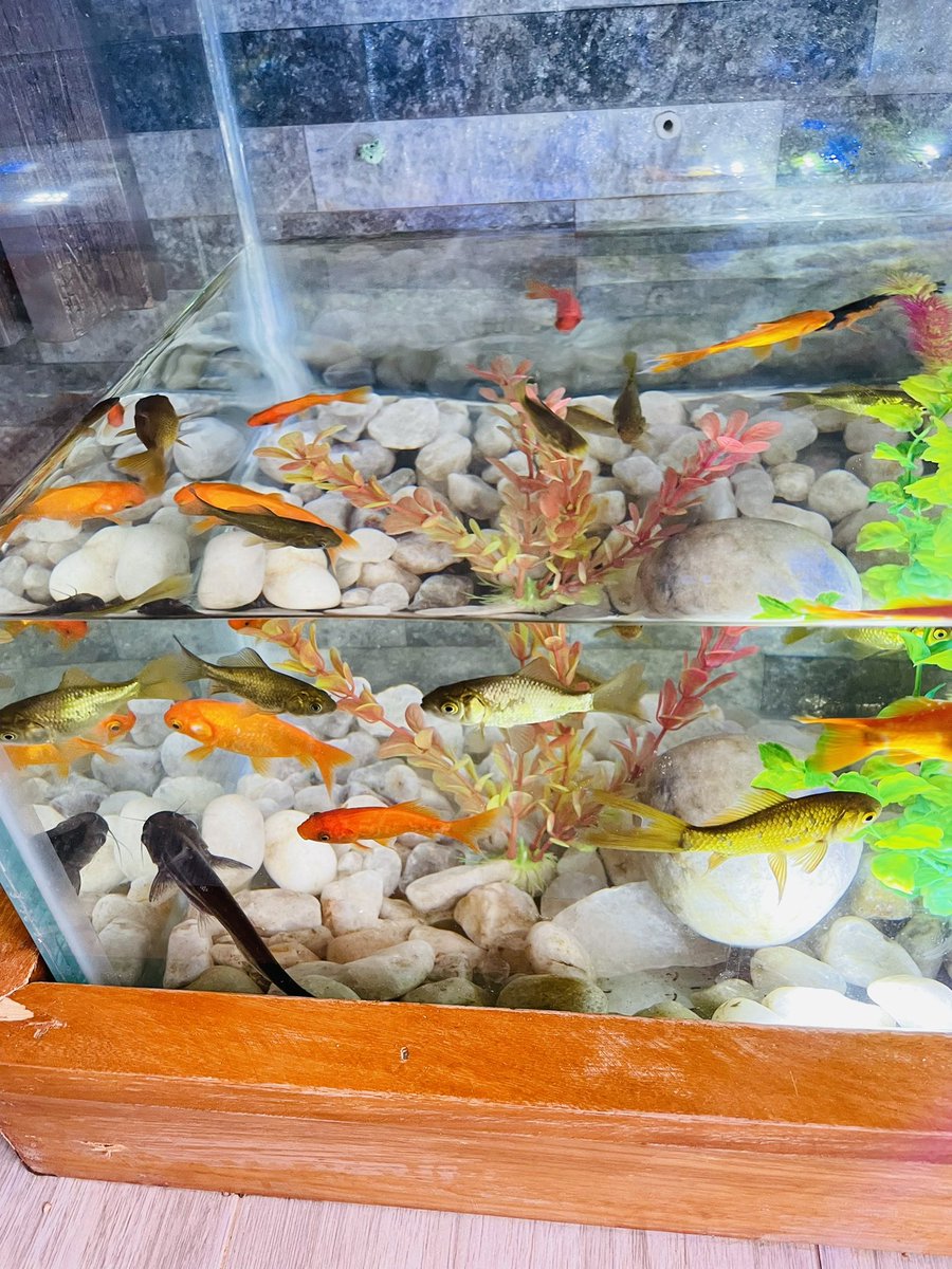 FactoryRwanda's tweet image. We are here to do maintenance for you just call us for negotiation we are always flexible for our clients 0788310345