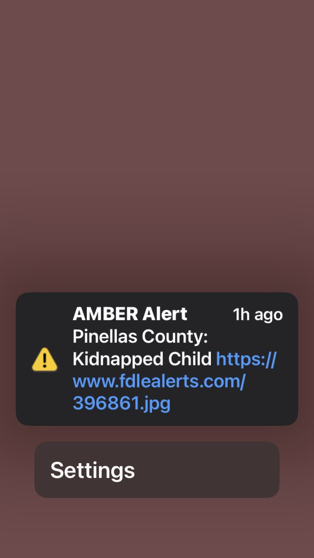 #pinellascounty #saintpetersburg #saintpete #missingchild #amberalert #blackchildren #missingblackchildren #missing #kidnapped #Hillsboroughcounty #tampa