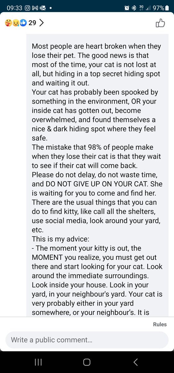 thisnameistosho's tweet photo. @thanh_neville How to find your cat https://t.co/rgoEMa3kFJ