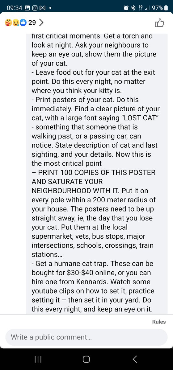 thisnameistosho's tweet photo. @thanh_neville How to find your cat https://t.co/rgoEMa3kFJ