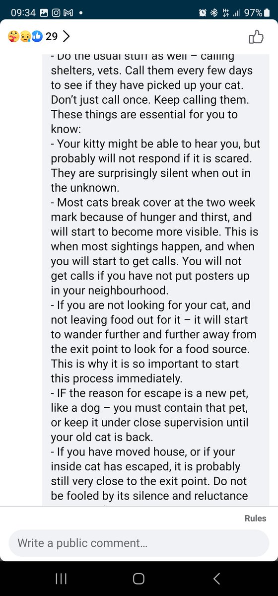thisnameistosho's tweet photo. @thanh_neville How to find your cat https://t.co/rgoEMa3kFJ