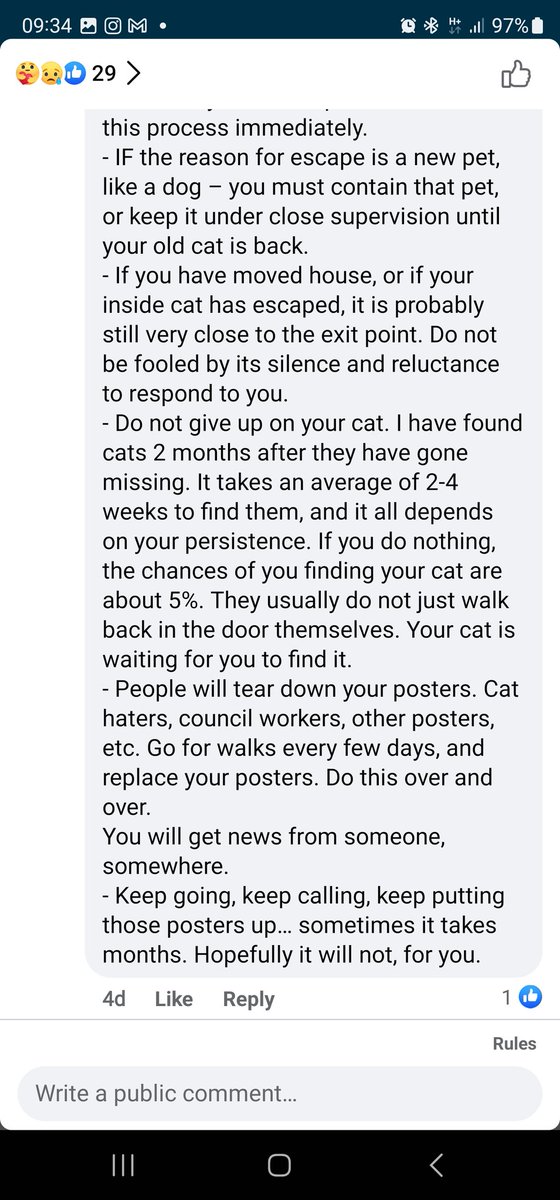 thisnameistosho's tweet photo. @thanh_neville How to find your cat https://t.co/rgoEMa3kFJ