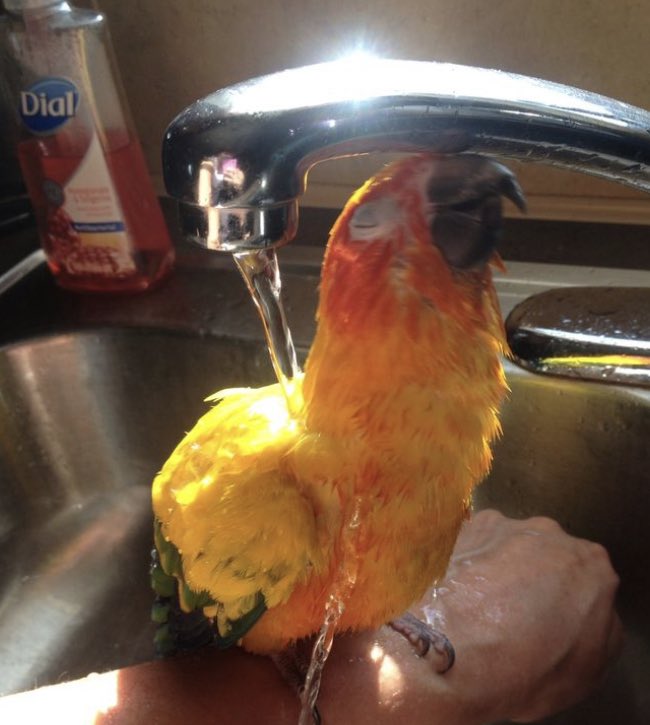 humbracker's tweet image. ime, takign bat’h