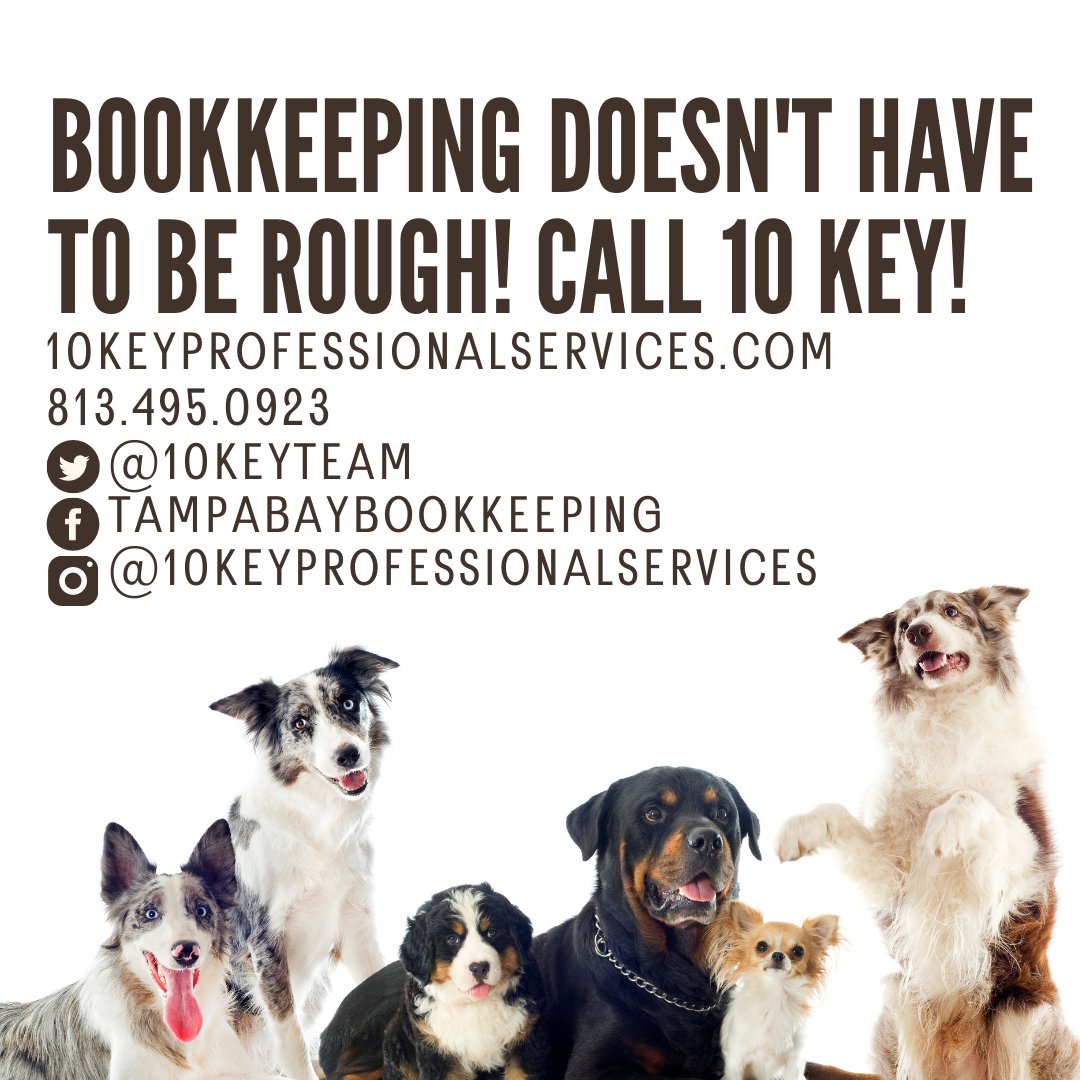 10keyteam's tweet photo. Visit our website to learn more about the services we offer, and schedule your free, no-obligation consultation today!

#bookkeeping #quickbooks #quickbooksproadvisor #womanowned #womeninbusiness #womenshistorymonth #canvahelp #canva #canvatips #dogstagram #dogs #financialplan https://t.co/1JtyQg9IDw