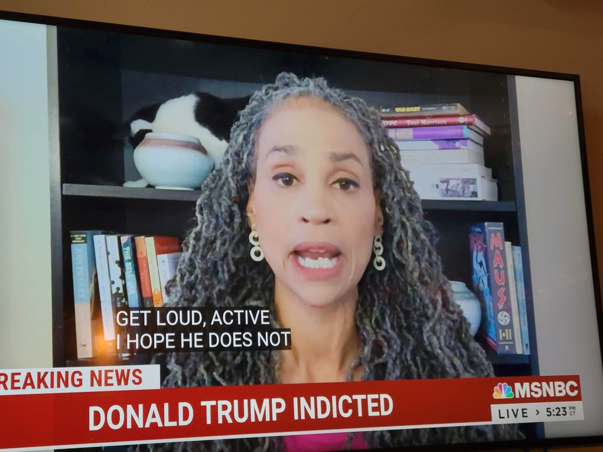 megandoitwright's tweet photo. real story is this cat's journey into that pot
 #TrumpIndictment https://t.co/W1DZYrtRwe