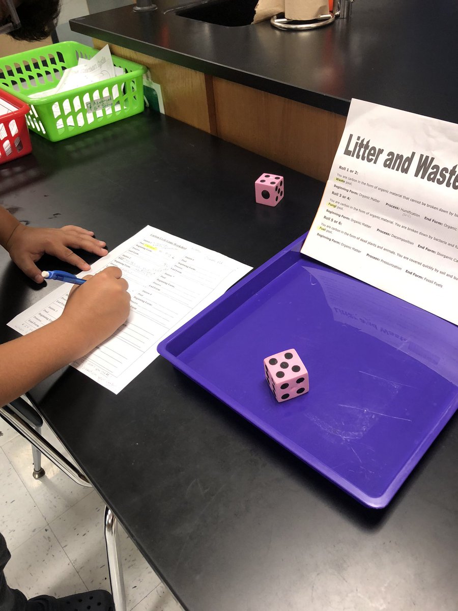 Diana Mitchell tweet media