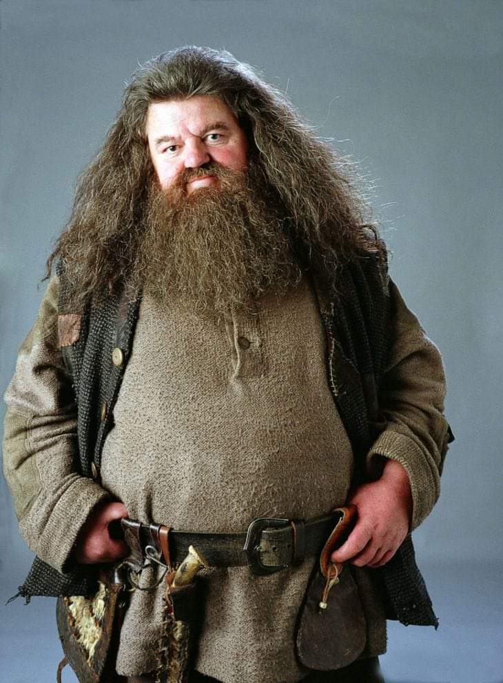 Happy Birthday to the late, great Robbie Coltrane
Born on March 30th, 1950
[Photo: \"Harry Potter \" series] 