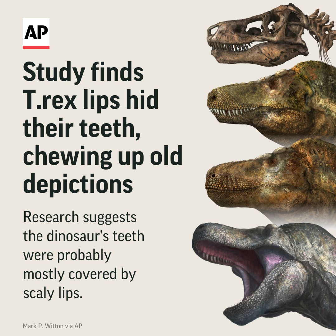 T. Rex Had Lips That Concealed Its Teeth, Study Says