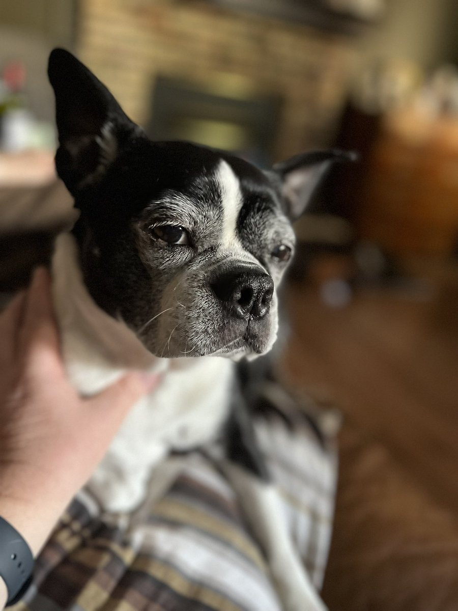 Rob Roach tweet media