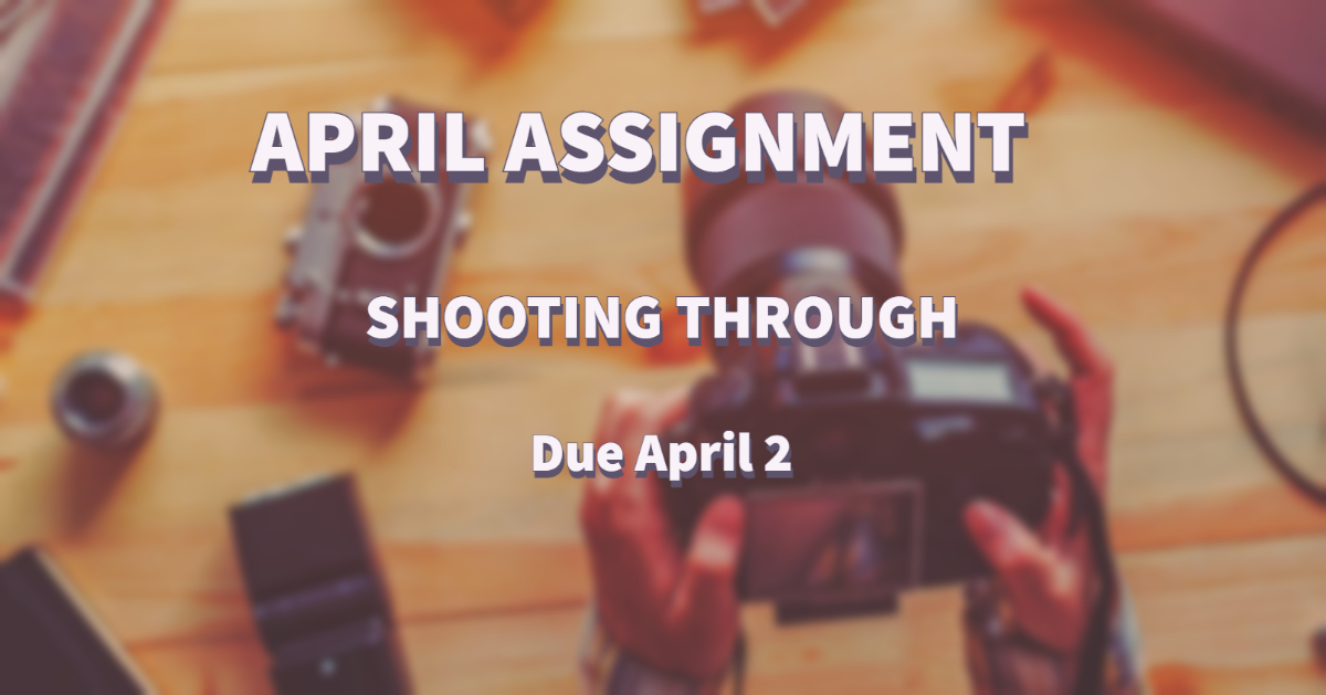 Hey CAPS members! Time is running out to get your assignment images in!!