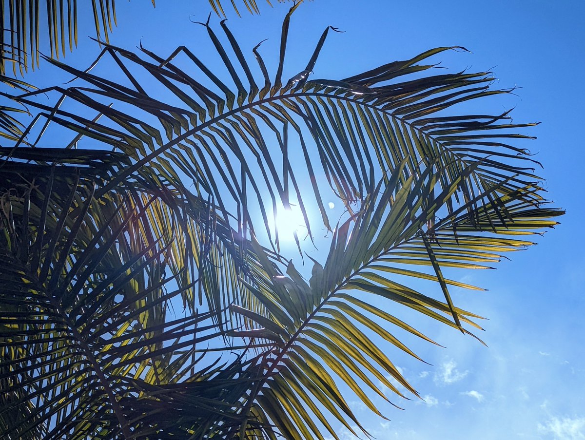 helenleigh's tweet photo. Just arrived in sunny Santa Barbara for #LatchUp, a @FossiFoundation  event focussing on open source silicon. 

Excited (and, truthfully, a little nervous) for my first #FOSSI event! https://t.co/1NA259SFGa