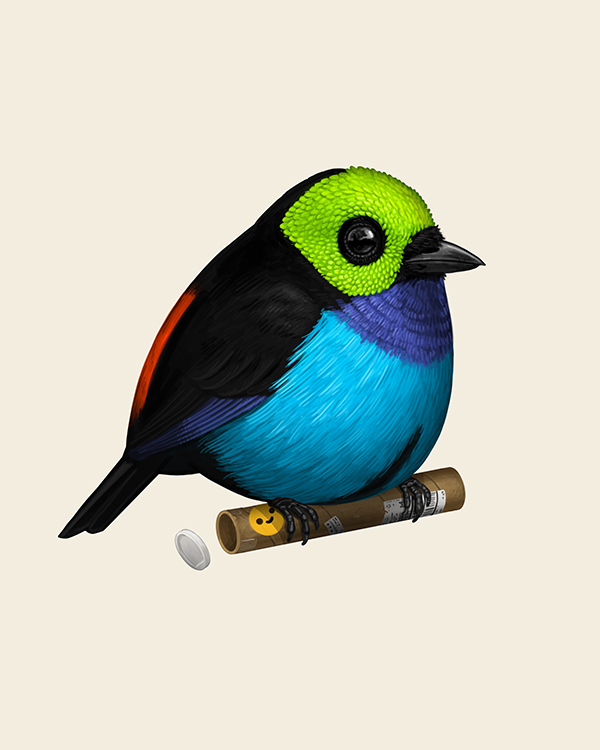 Mike Mitchell (@sirmitchell) on Twitter photo One day left to grab the Paradise Tanager! 1 in 20 get an extra Blurb chase print. One day left to grab the Paradise Tanager! 1 in 20 get an extra Blurb chase print.