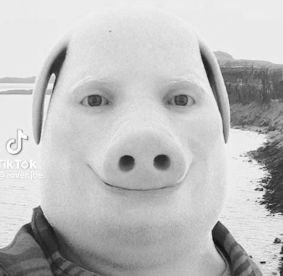 selmacashmoney's tweet photo. Breaking news: John Pork has been indicted. https://t.co/EvaJ19OJvf