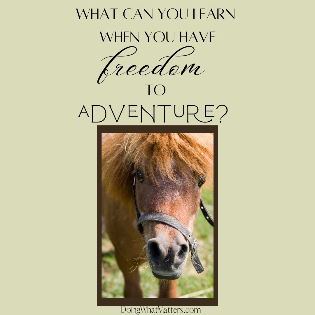 Independent adventures can help kids learn and grow. Perhaps the "pony boys" journey might inspire some learning adventures in your family!
Learning through Freedom to Adventure bit.ly/3SRSPJF