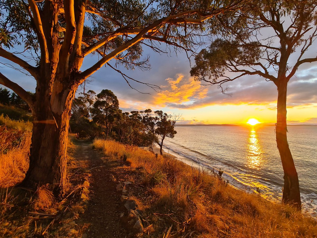greg_faull's tweet image. Sunrise this morning over Frederick Henry Bay 🌅 Lauderdale to Seven Mile Beach coastal track. 🌊 #Tasmania