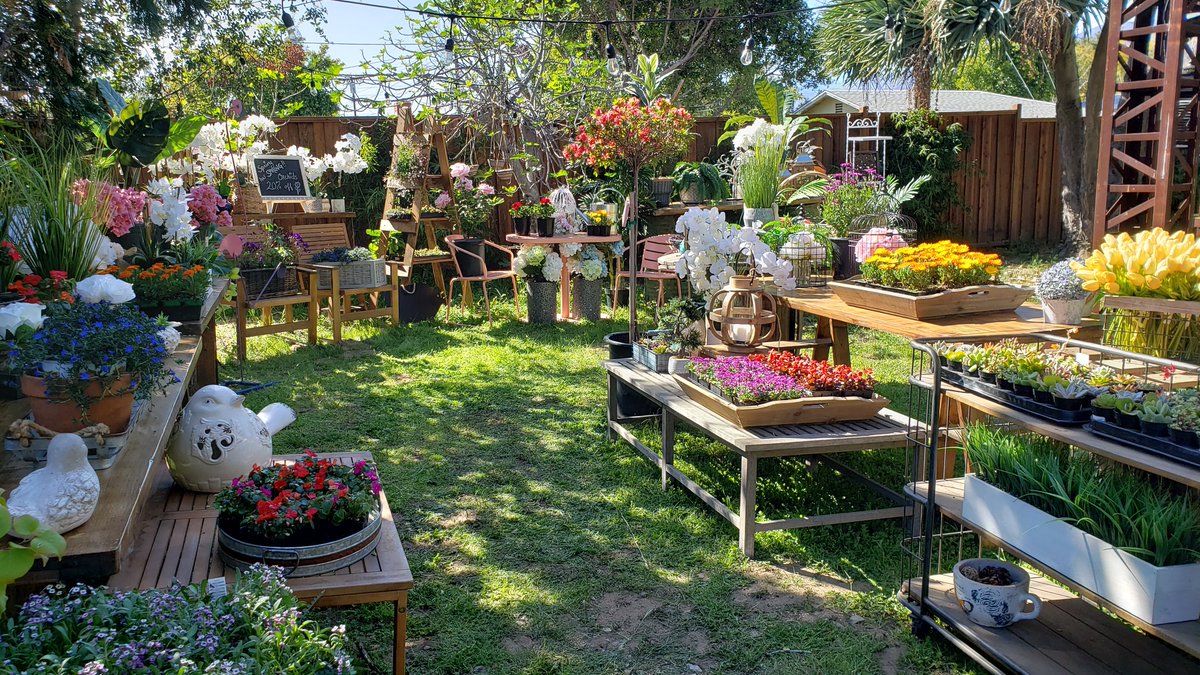 Kylie Ireland on Twitter "2 years ago today I built the most epic of outdoor garden stores for