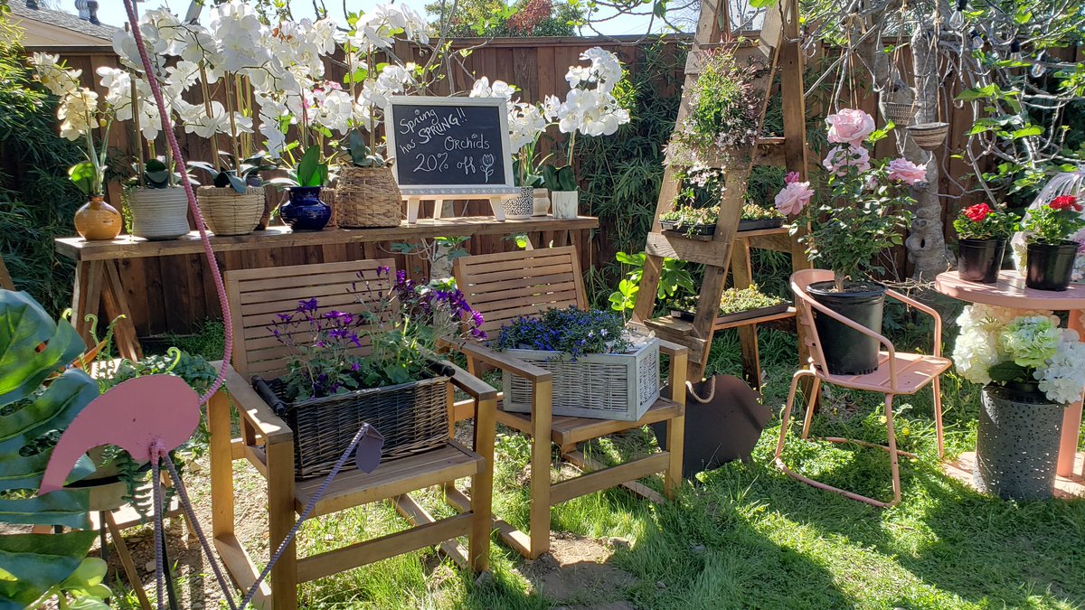 Kylie Ireland on Twitter "2 years ago today I built the most epic of outdoor garden stores for