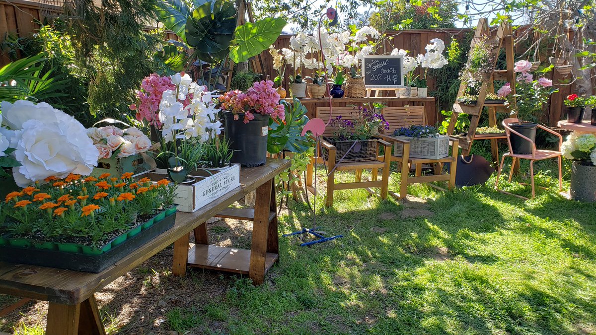 Kylie Ireland on Twitter "2 years ago today I built the most epic of outdoor garden stores for