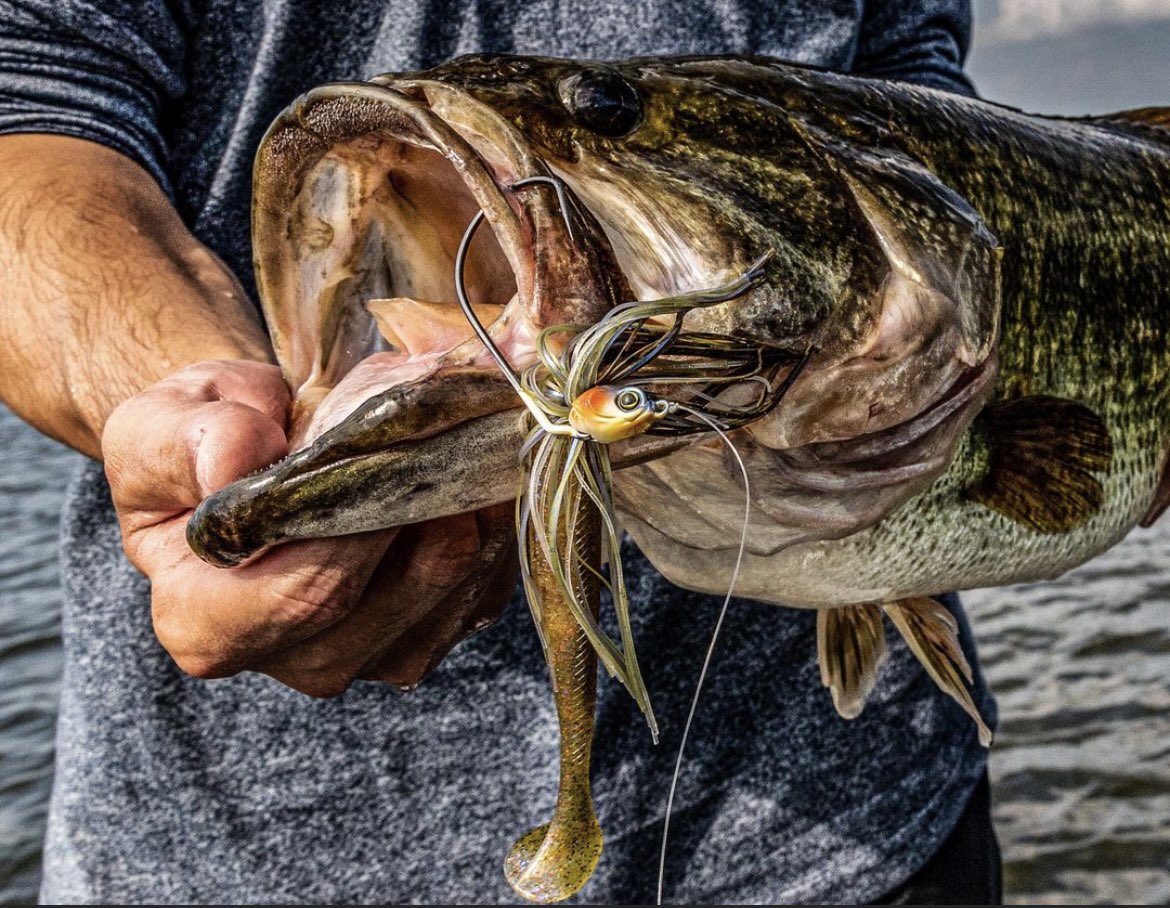6th Sense Fishing on X: The AXEL is a weedless swinging swim jig that  allows you to fish the heaviest cover without getting hung up, and where  the BIG ONES live!