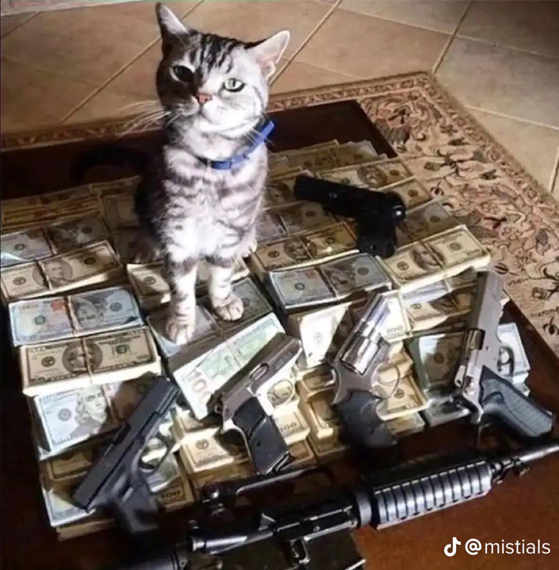 Reids20th's tweet image. 