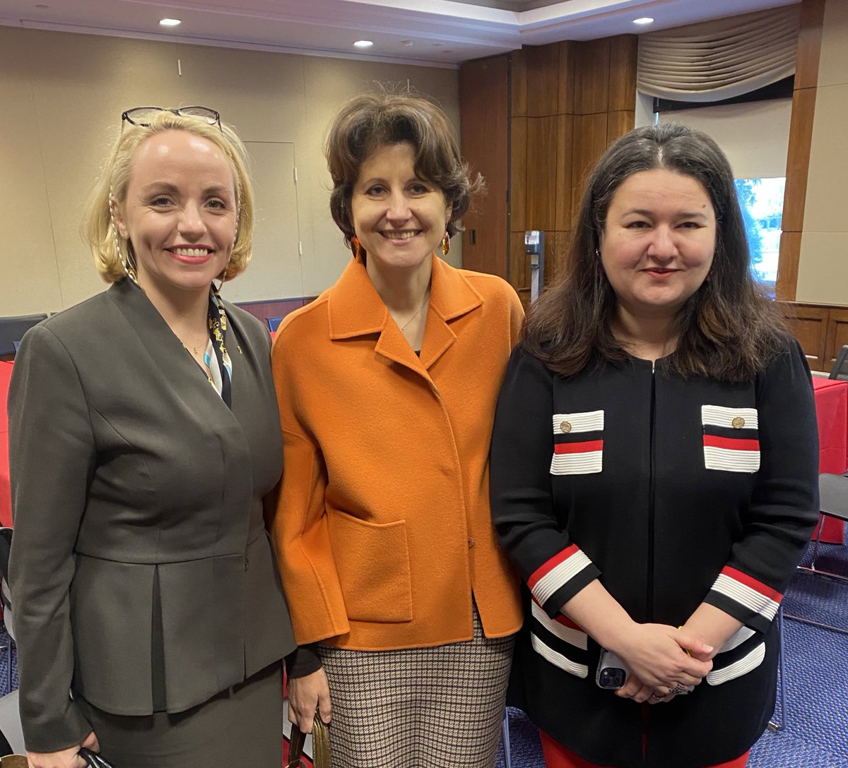Accountability and the need for Special Tribunal for #CrimeofAggression in great discussion w/ @DemWomenCaucus members
@SpeakerPelosi @RepLoisFrankel @DeborahRossNC @RepMGS @sydneykamlager & fellow 🇦🇲🇦🇱🇸🇪🇺🇦🇯🇲ambassadors @OMarkarova 

Visit of 🇱🇹 Justice Viceminister G. Daugirde