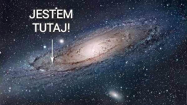 LechuTur tweet media