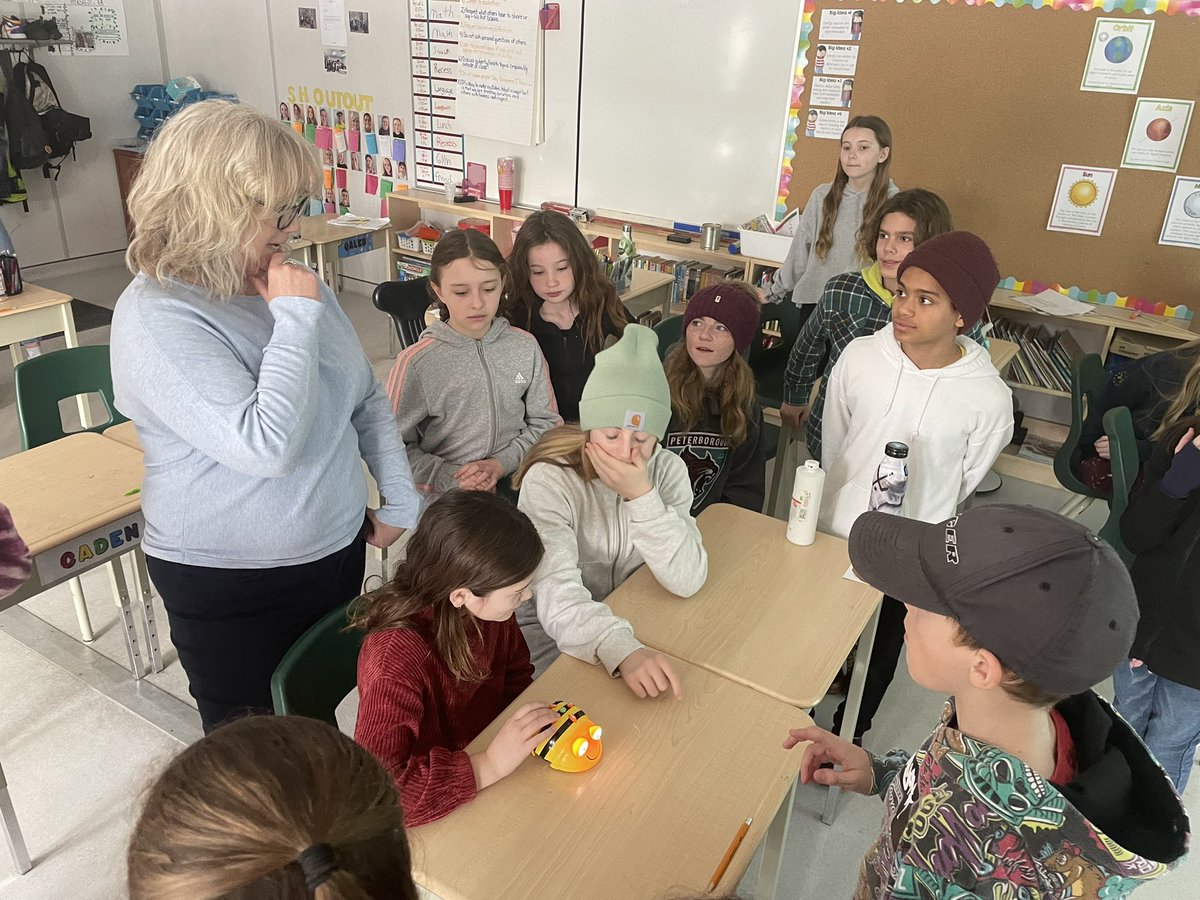 misshensen's tweet photo. Microbits and Bee Bots took over our class today @BuckhornKPR #coding #microbits #beebots #grade5/6 https://t.co/9OMBHCiPru