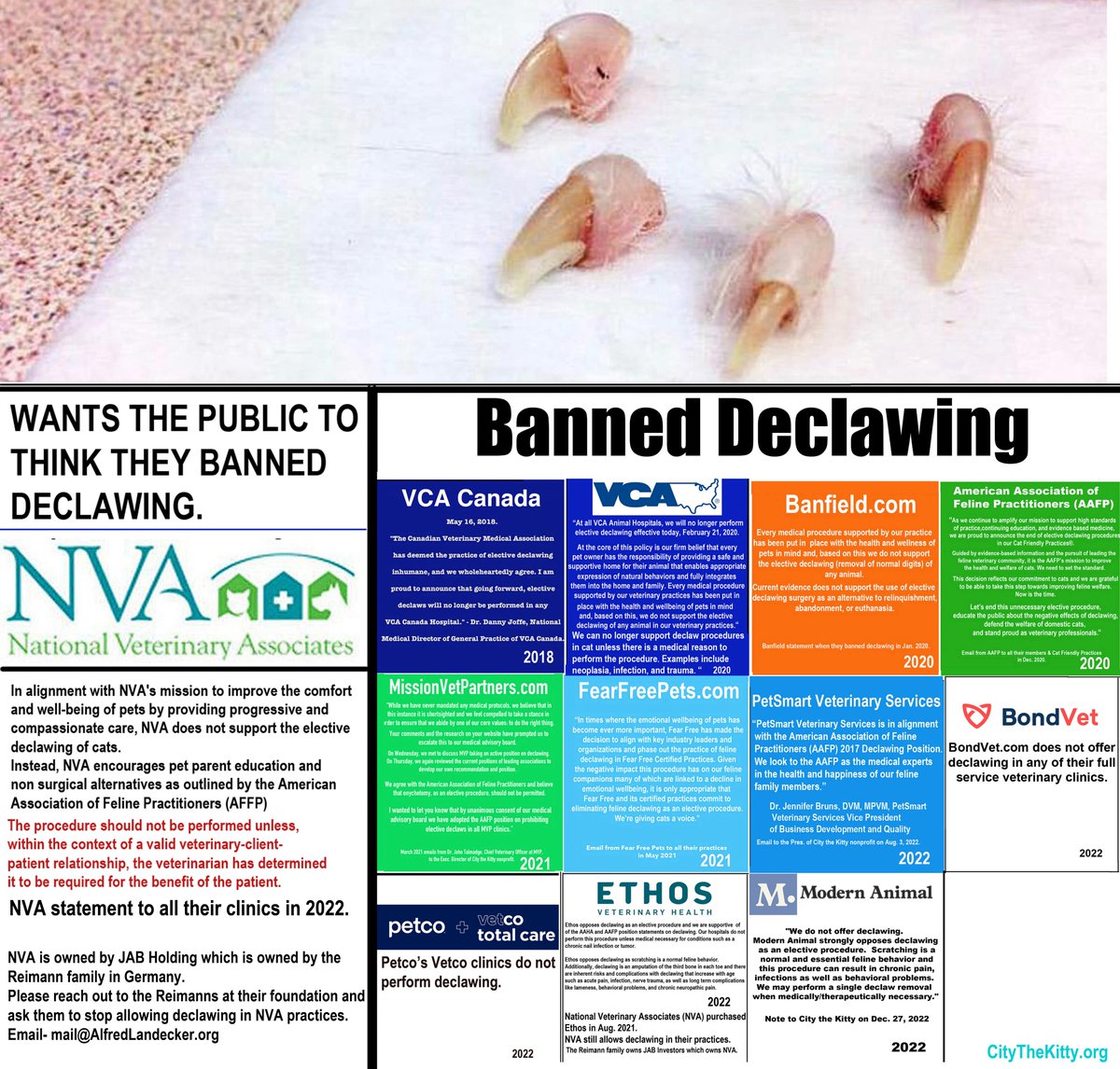 City_the_kitty's tweet photo. BREAKING NEWS @NVApets allows their clinics to profit from crimes against #cats. (DECLAWING) Why didn't they learn anything from their awful past? https://t.co/ea3JTlHQZh  #CatsOfTwitter #CatsAreFamily #cat #HateCrime #justice #nvapets #nvacommunity #Veterinarian #CatsofTwittter https://t.co/rOnmULptbh