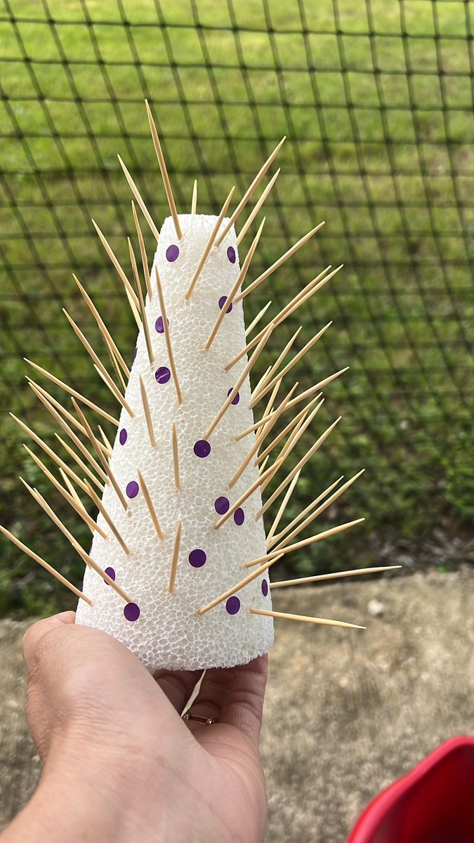 Preparing for tomorrow’s lab investigation while being a mom at baseball practice. 🧪⚾️ #scienceandbaseball #RBESscience