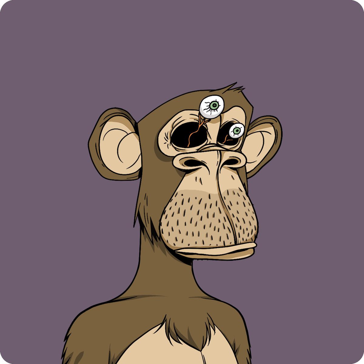 intotherain tweet media