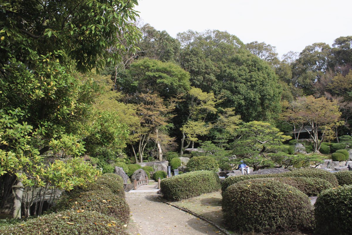 Corban2011_'s tweet photo. Went to a Tradition Japanese Landscape Garden for the first time!  Wah〜 isn’t it incredibly pretty? o(*>▽<*)o The trees are super pretty, the was completely peaceful, everyone  was taking photos and such. (>▽<) It was a lot of fun! (*ˊᵕˋ*) 

#日本 #日本庭園 #庭園 #japan #福岡 https://t.co/nzXEwIvyvl