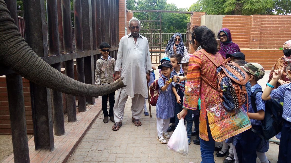 NEGLECT seems to be a substitute for care at the appalling #KarachiZoo how can any visitor enjoy watching animals suffer? #AgonyofNoorJehan #KMC @KmcPakistan @Hafeezreporter @arifanoor72 @Dawn_News @DunyaNews @Aaj_Urdu  @AsadAToor @MJibranNasir